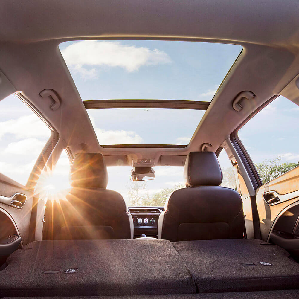 Panoramic Stargazer Sunroof